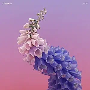 Get Ready to Rave: A Review of Flume's Grammy-Winning Album "Skin"