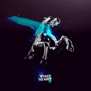 What So Not's Debut Album: Not All The Beautiful Things - A Must Listen for